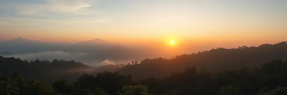 Sunrise over Indonesian forest